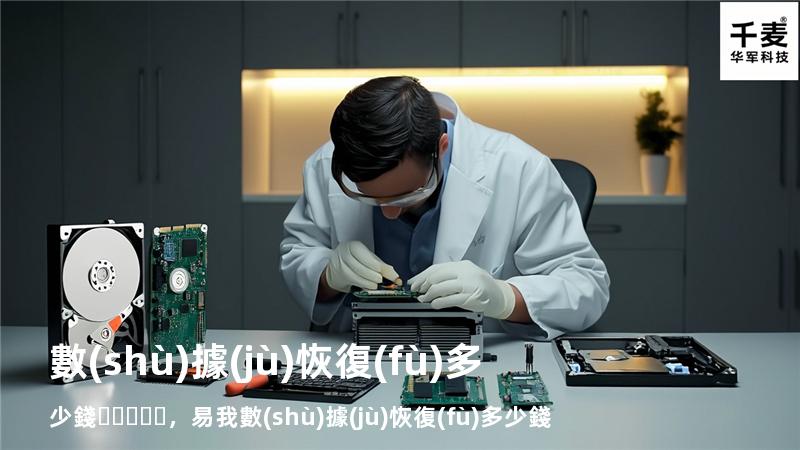 數(shù)據(jù) 恢復(fù)多少錢，易我數(shù)據(jù)恢復(fù)多少錢